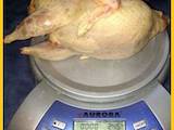 Продовольство М'ясо птиці, ціна 160 Грн./кг., Фото