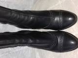 Обувь,  Женская обувь Сапоги, цена 1000 Грн., Фото