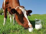Продовольствие Молочная продукция, цена 12 Грн./л., Фото
