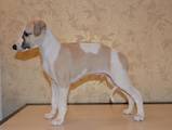 Собаки, щенята Уїппет, ціна 13500 Грн., Фото