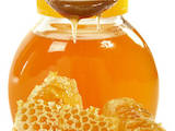 Продовольствие Мёд, Фото