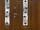 Двері, замки, ручки,  Двері, дверні вузли Металеві, ціна 9200 Грн., Фото