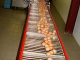 Продовольство Яйця, ціна 1.80 Грн., Фото