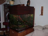 Рибки, акваріуми Акваріуми і устаткування, ціна 27000 Грн., Фото
