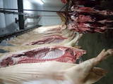 Продовольство Свіже м'ясо, ціна 71 Грн./кг., Фото