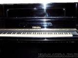 Музика,  Музичні інструменти Клавішні, ціна 800 Грн., Фото