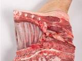 Продовольство Свіже м'ясо, ціна 68 Грн./кг., Фото