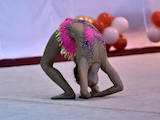 Спорт, активний відпочинок Художня гімнастика, ціна 3000 Грн., Фото