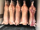 Продовольство Свіже м'ясо, ціна 166 Грн./кг., Фото