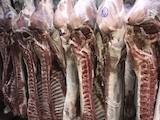 Продовольство Свіже м'ясо, ціна 70 Грн./кг., Фото