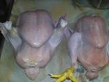 Продовольствие Мясо птицы, цена 80 Грн./кг., Фото