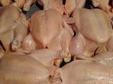 Продовольство М'ясо птиці, ціна 80 Грн./кг., Фото