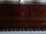 Музика,  Музичні інструменти Клавішні, ціна 3000 Грн., Фото