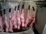 Продовольство Свіже м'ясо, ціна 120 Грн./кг., Фото