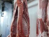 Продовольство Свіже м'ясо, ціна 69 Грн./кг., Фото