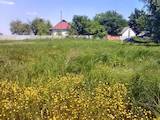 Дачи и огороды Киевская область, цена 248000 Грн., Фото