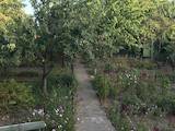 Дачи и огороды Херсонская область, цена 160000 Грн., Фото