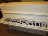 Музика,  Музичні інструменти Клавішні, ціна 27000 Грн., Фото