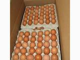 Продовольство Яйця, ціна 20 Грн., Фото
