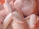 Продовольствие Мясо птицы, цена 49.80 Грн./кг., Фото