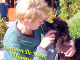 Собаки, щенки Большой пудель, цена 12600 Грн., Фото