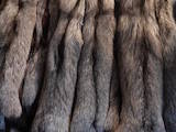 Тваринництво Хутрова тваринництво, ціна 1500 Грн., Фото