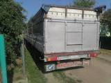 Вантажівки, ціна 308000 Грн., Фото