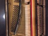 Музика,  Музичні інструменти Клавішні, ціна 1500 Грн., Фото