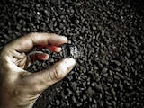 Дрова, брикети, гранули Вугілля, ціна 6800 Грн., Фото