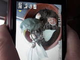 Фото й оптика,  Цифрові фотоапарати Olympus, ціна 700 Грн., Фото
