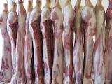 Продовольство Свіже м'ясо, ціна 61 Грн./кг., Фото
