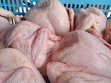 Продовольство М'ясо птиці, ціна 49 Грн./кг., Фото