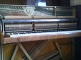 Музика,  Музичні інструменти Клавішні, ціна 14000 Грн., Фото
