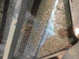 Дрова, брикеты, гранулы Гранулы, цена 100 Грн., Фото