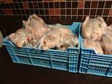 Продовольствие Другие мясопродукты, цена 40 Грн./кг., Фото