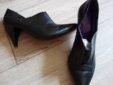 Взуття,  Жіноче взуття Туфлі, ціна 850 Грн., Фото