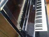 Музыка,  Музыкальные инструменты Клавишные, цена 1000 Грн., Фото