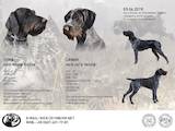 Собаки, щенята Різне, ціна 13000 Грн., Фото