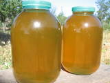 Продовольствие Мёд, цена 90 Грн./кг., Фото