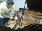 Музика,  Музичні інструменти Клавішні, ціна 500 Грн., Фото