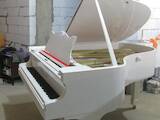 Музыка,  Музыкальные инструменты Клавишные, цена 500 Грн., Фото