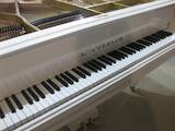 Музика,  Музичні інструменти Клавішні, ціна 500 Грн., Фото