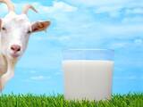 Продовольство Молочна продукція, ціна 1 Грн./л., Фото