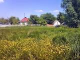 Дачи и огороды Киевская область, цена 250000 Грн., Фото