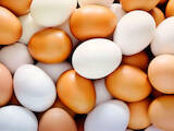 Продовольствие Яйца, цена 17 Грн., Фото