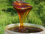 Продовольствие Мёд, цена 120 Грн./л., Фото