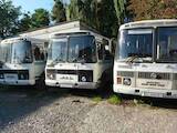 Автобуси, ціна 80000 Грн., Фото