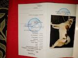 Тварини Екзотичні тварини, ціна 3000 Грн., Фото