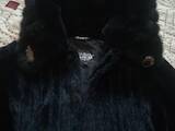 Жіночий одяг Шуби, ціна 15000 Грн., Фото