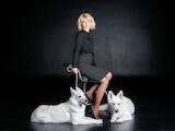 Собаки, щенята Біла Швейцарська вівчарка, ціна 8000 Грн., Фото